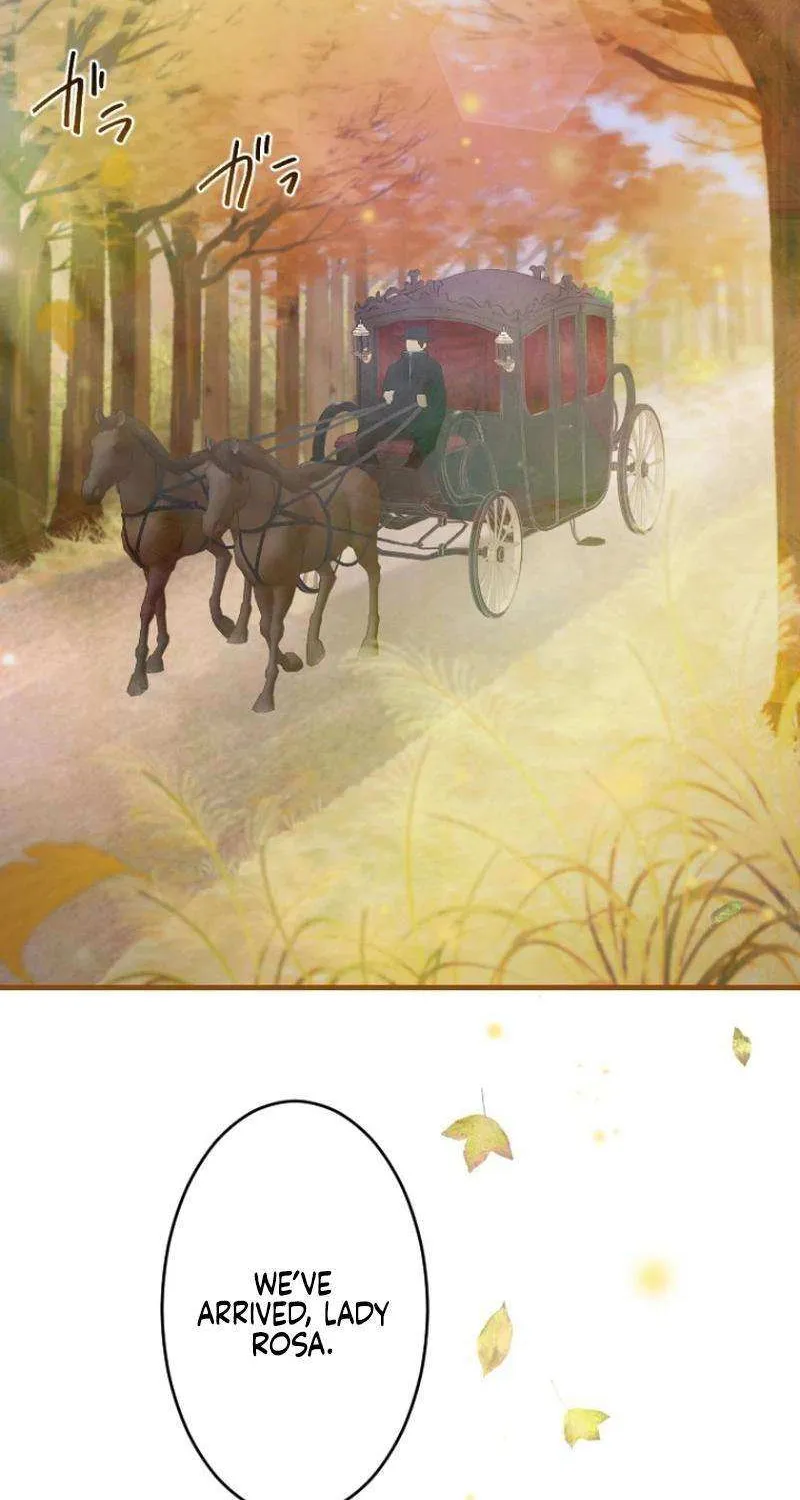 The Reason why Princess White Rose Wears Thorns Chapter 9 page 12 - 