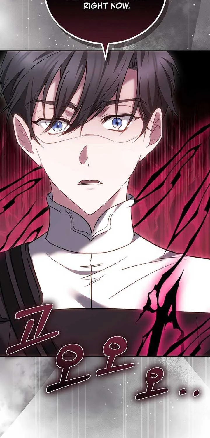 The Reason Why That Villainess Picked Up A Sword Chapter 8 page 25 - 