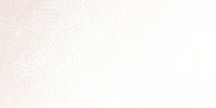 The Rebel