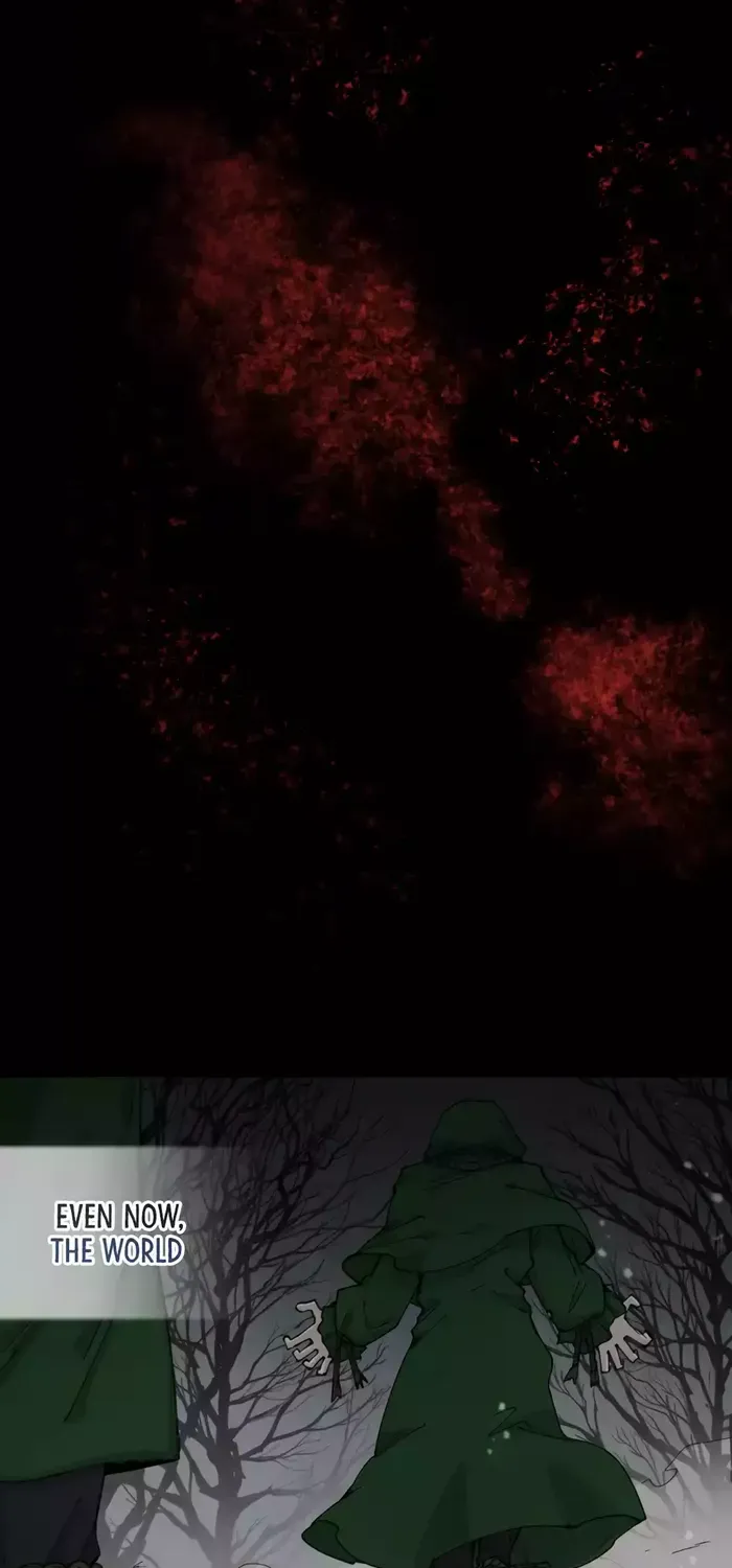 The Rebirth of the Hero’s Party’s Archmage Chapter 0 page 9 - 