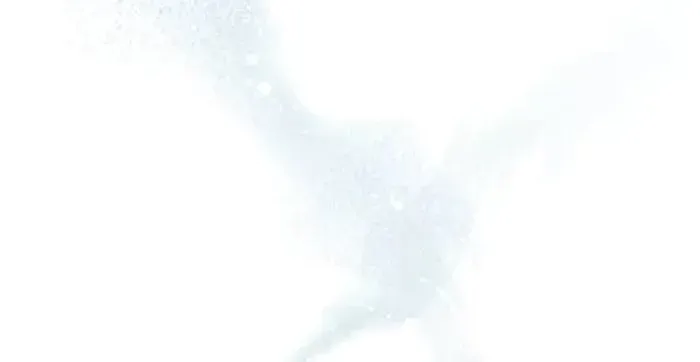 The Rebirth of the Hero’s Party’s Archmage Chapter 26 page 48 - 