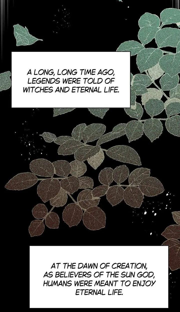 The Reborn Witch Raises a Templar Chapter 28 page 9 - 
