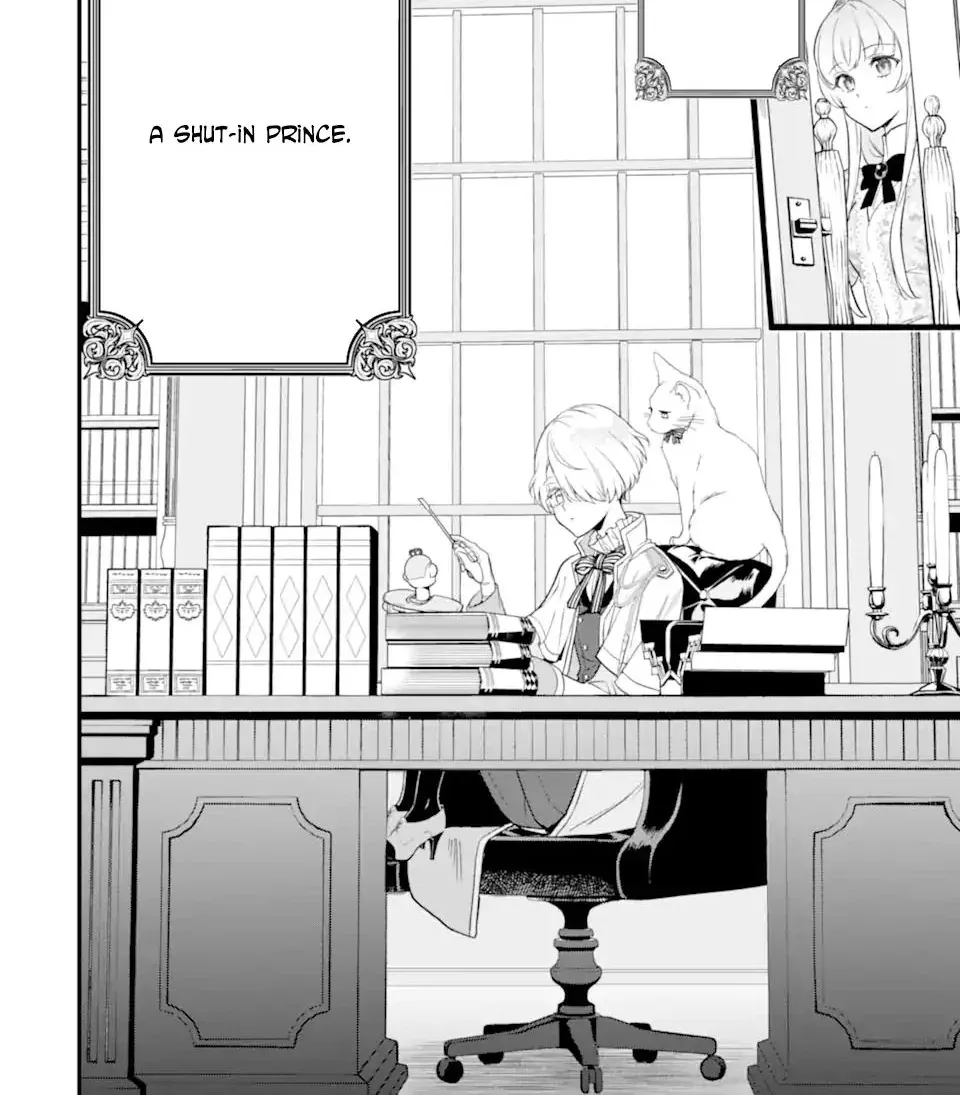 The Reclusive Prince