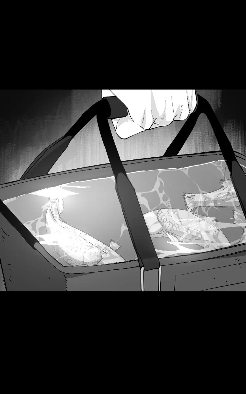 The Red Shirt Chapter 9 page 146 - 