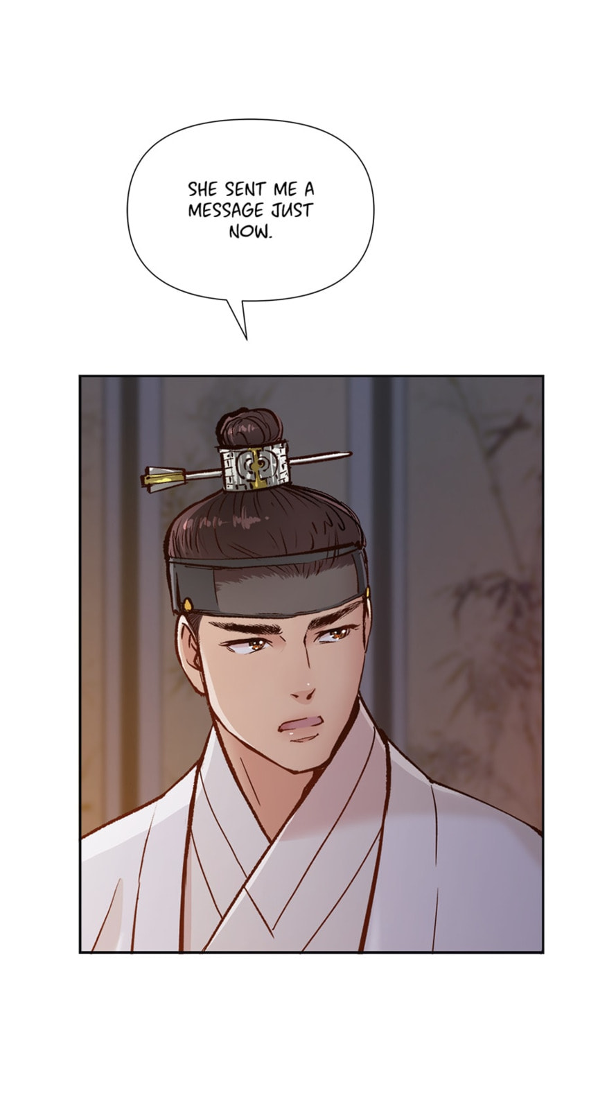 The Red Sleeve Chapter 43 page 73 - 