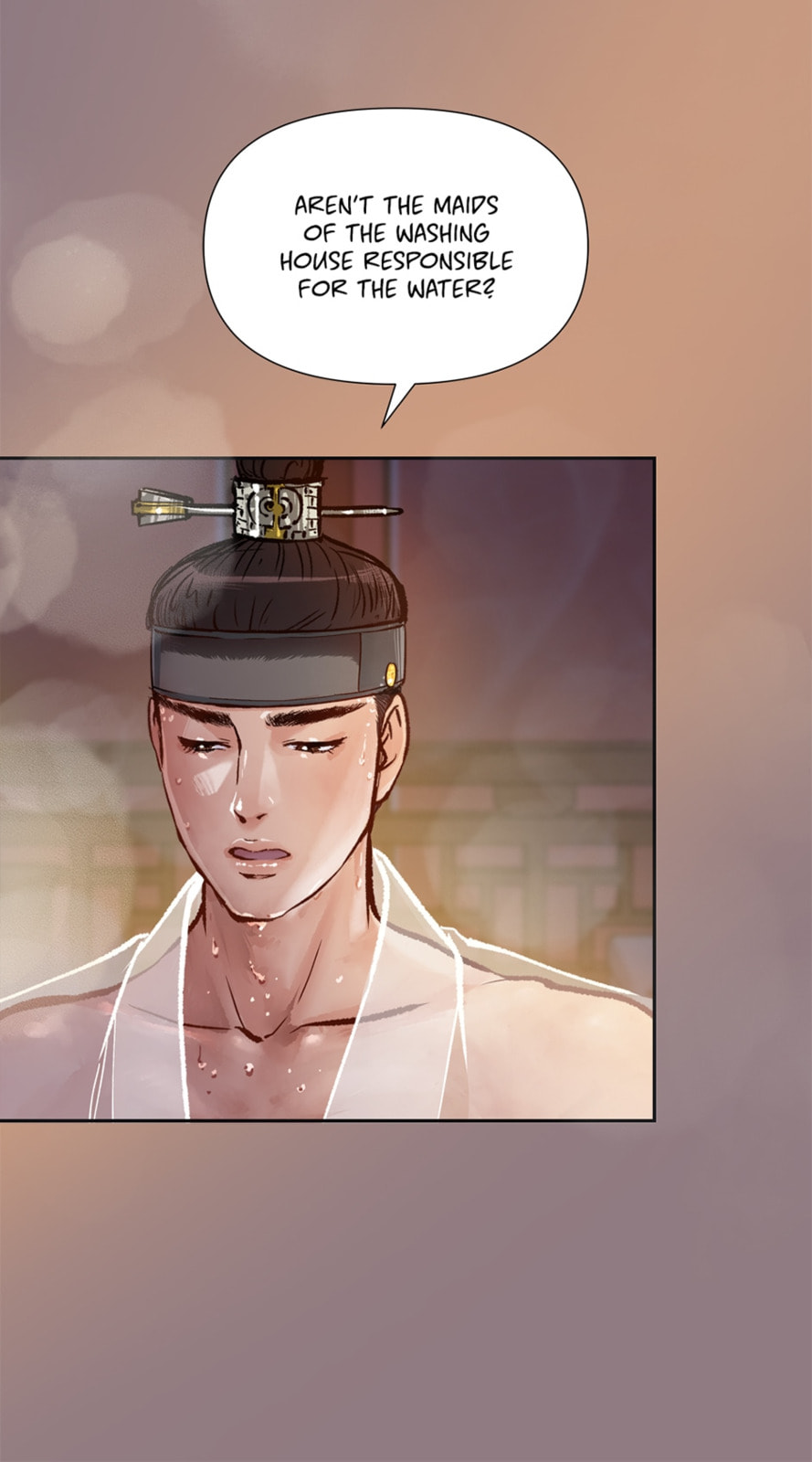 The Red Sleeve Chapter 54 page 29 - 