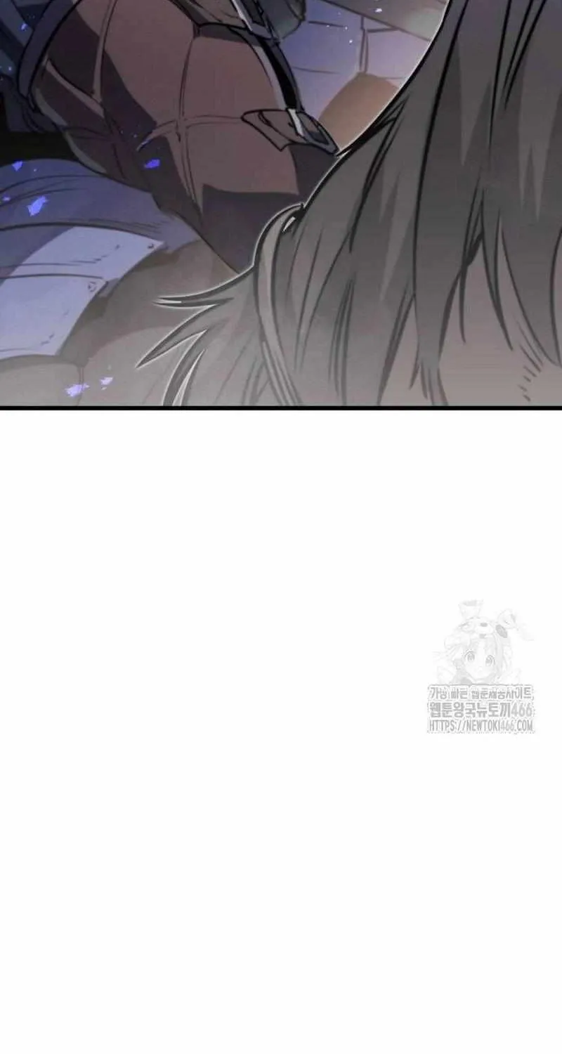 The Regressed Mercenary’s Machinations Chapter 17 page 5 - 