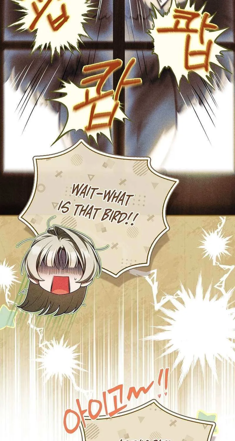 The Regretful Male Lead’s Agency is Now Open for Business! Chapter 24 page 67 - 