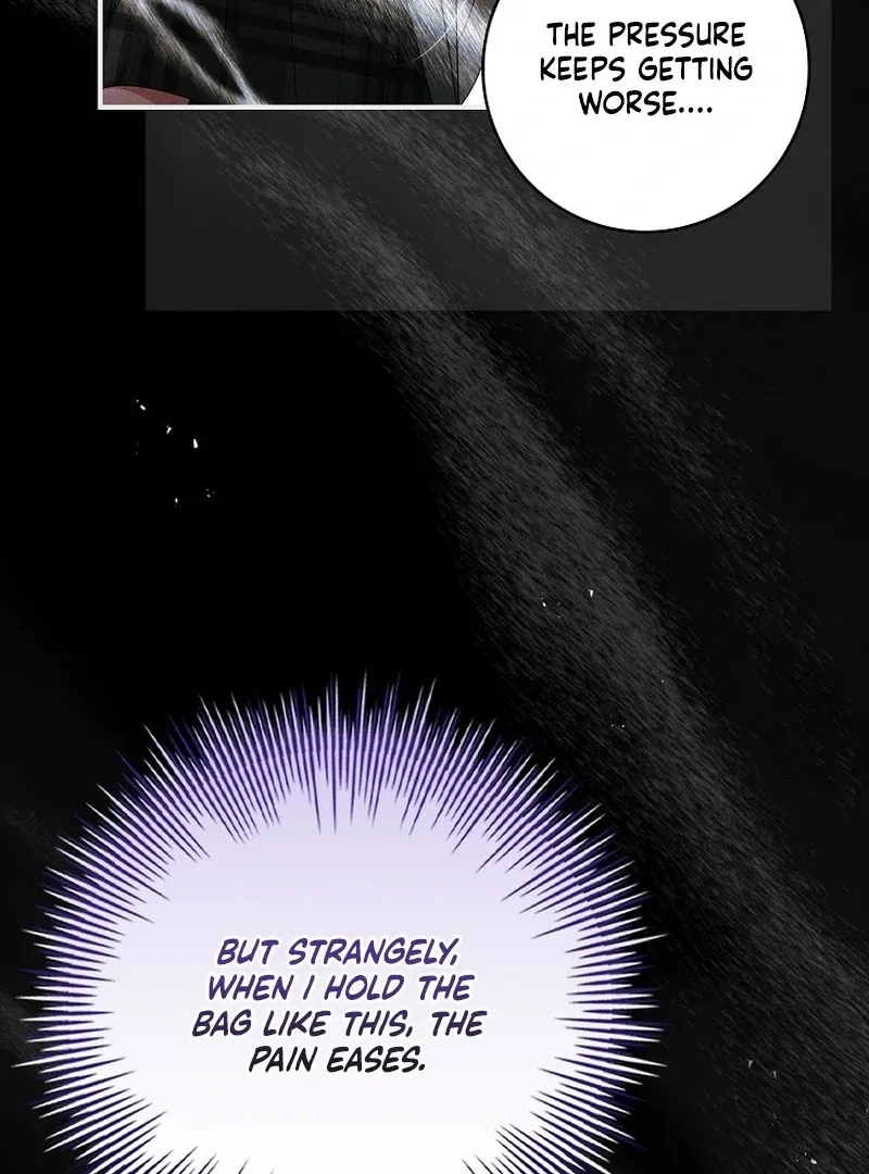 The Regretful Male Lead’s Agency is Now Open for Business! Chapter 26 page 143 - 