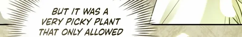 The Regretful Male Lead’s Agency is Now Open for Business! Chapter 9 page 50 - 