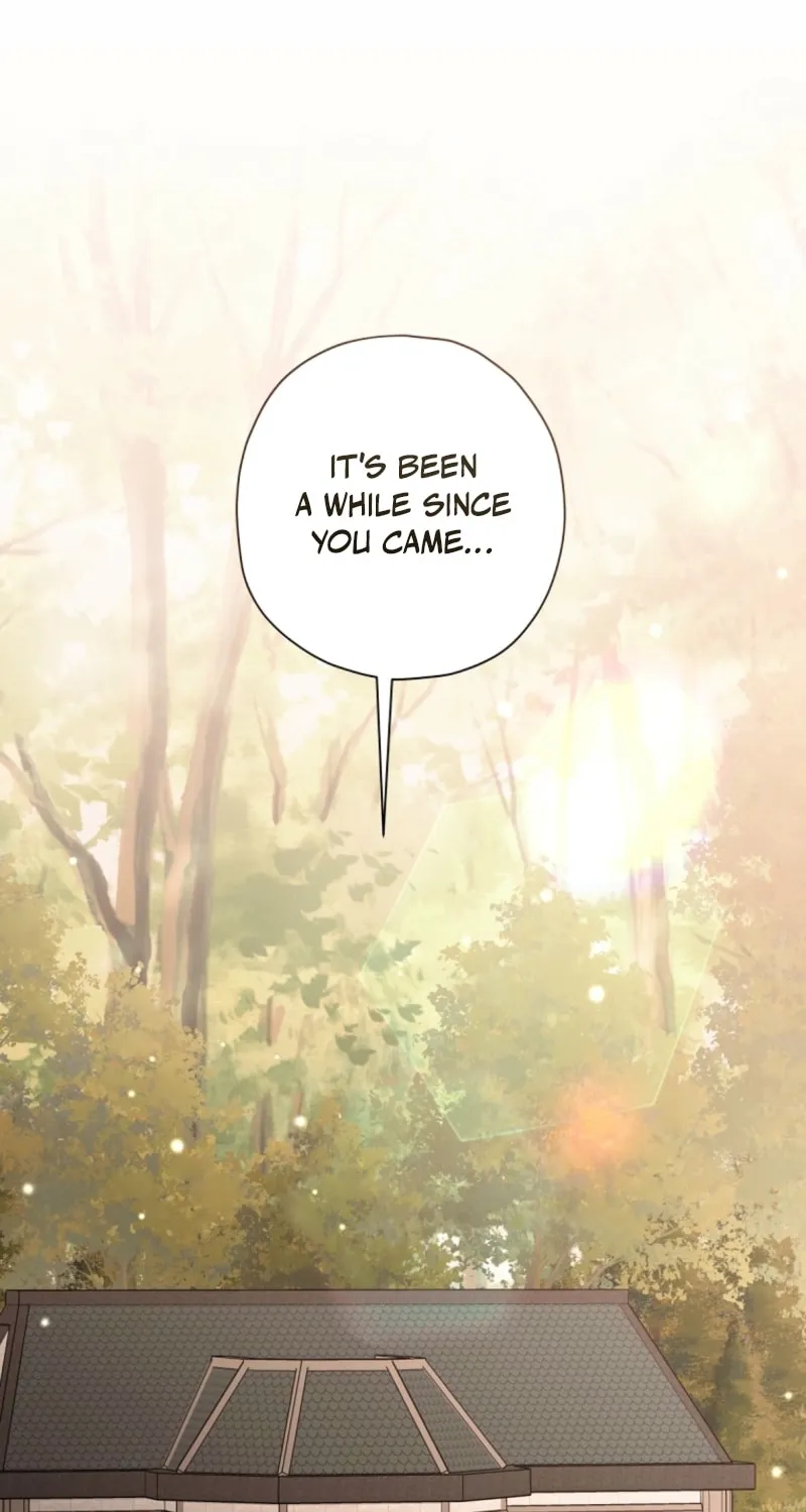 The Regretful Villainess Is Happily Divorced Chapter 19 page 2 - 