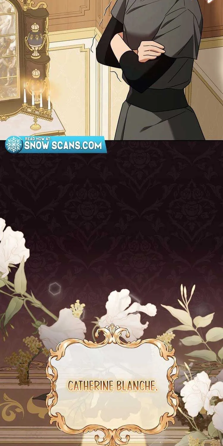 The Regretful Villainess Is Happy Because She Got Divorced Chapter 12 page 18 - 