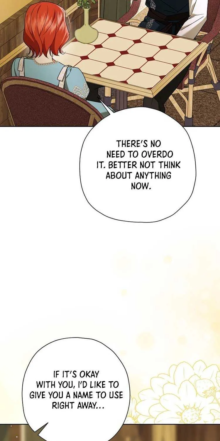 The Regretful Villainess Is Happy Because She Got Divorced Chapter 13 page 17 - 