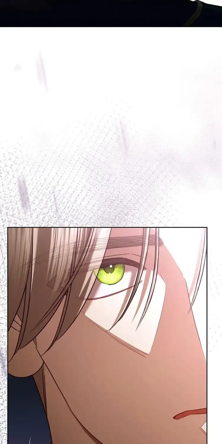 The Regretful Villainess Is Happy Because She Got Divorced Chapter 18 page 41 - 