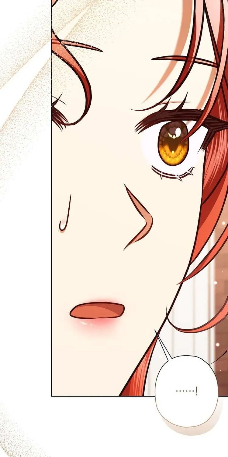 The Regretful Villainess Is Happy Because She Got Divorced Chapter 23 page 27 - 