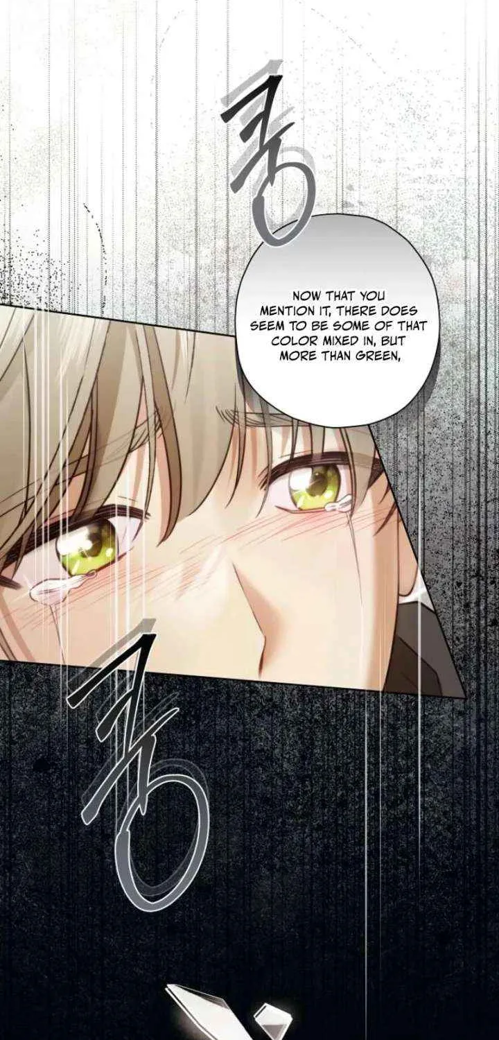 The Regretful Villainess Is Happy Because She Got Divorced Chapter 45 page 38 - 