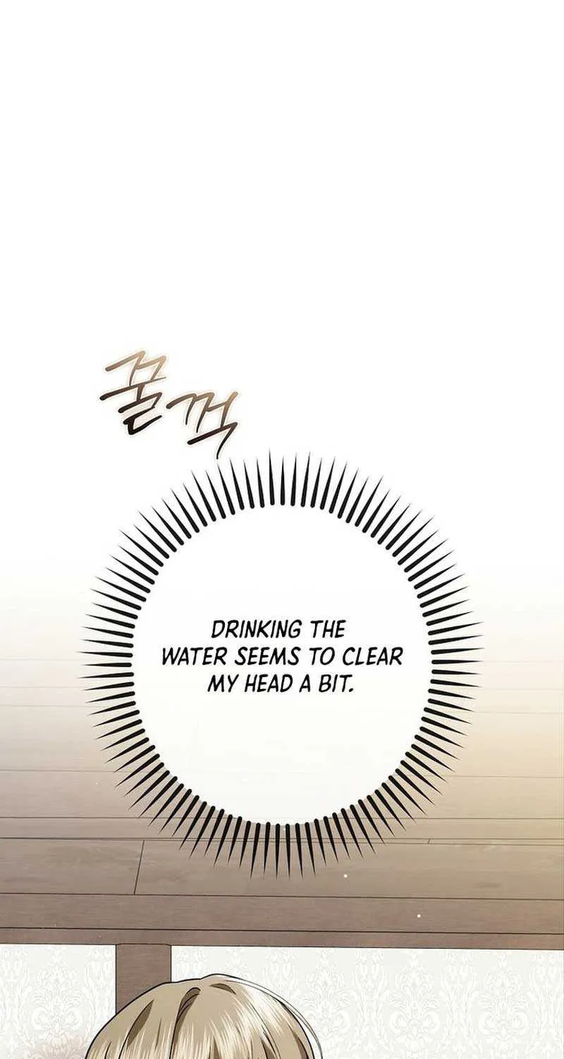 The Regretful Villainess Is Happy Because She Got Divorced Chapter 9 page 62 - 