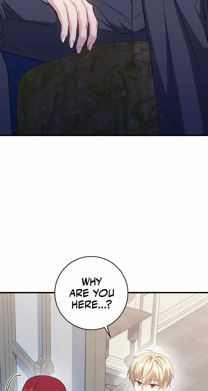The Reincarnated Assassin is a Genius Swordsman Chapter 19 page 101 - 