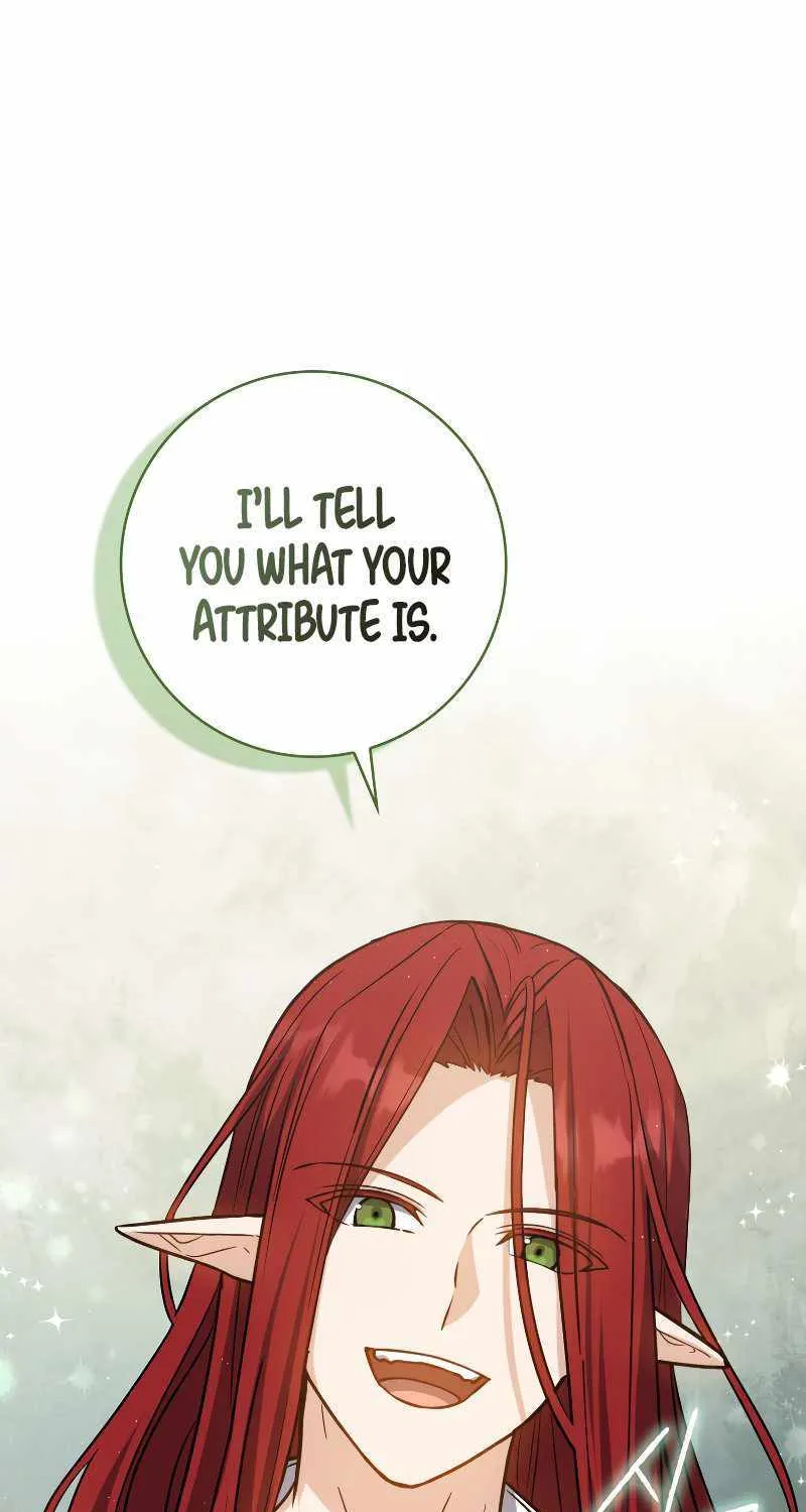 The Reincarnated Assassin is a Genius Swordsman Chapter 19 page 104 - 