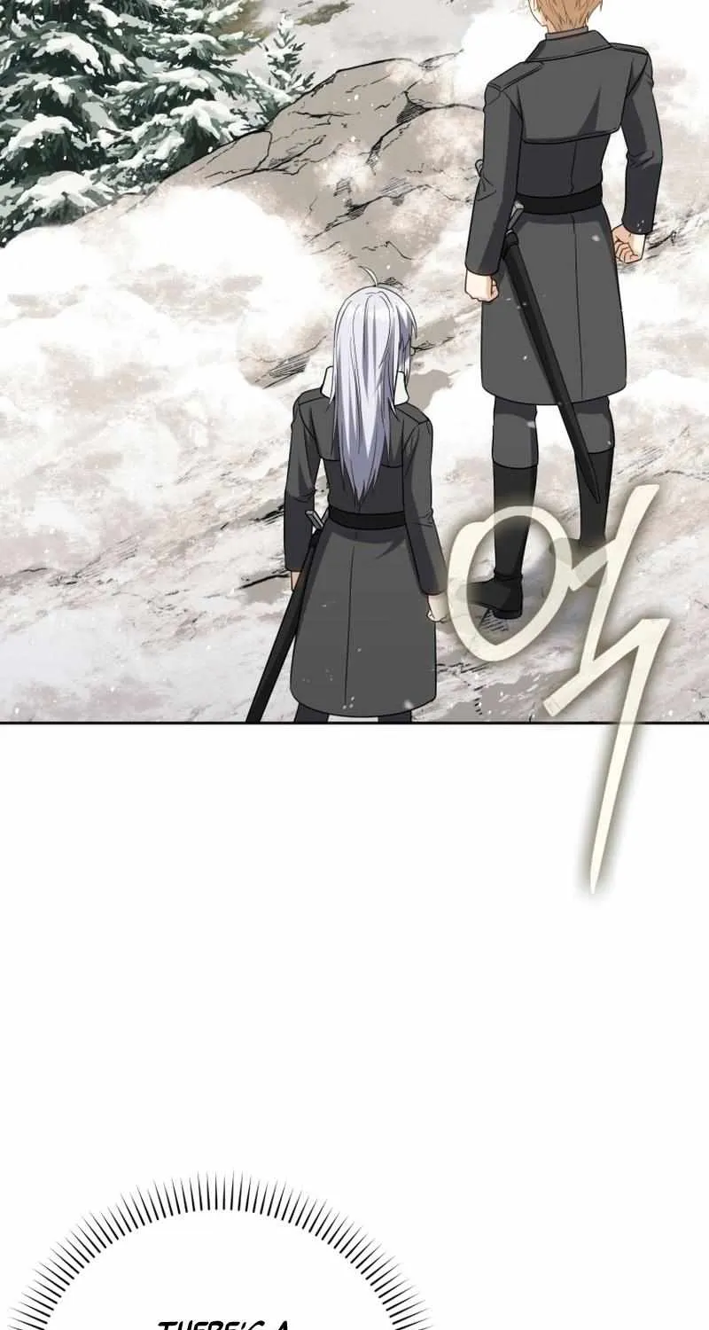The Reincarnated Assassin is a Genius Swordsman Chapter 32 page 44 - 