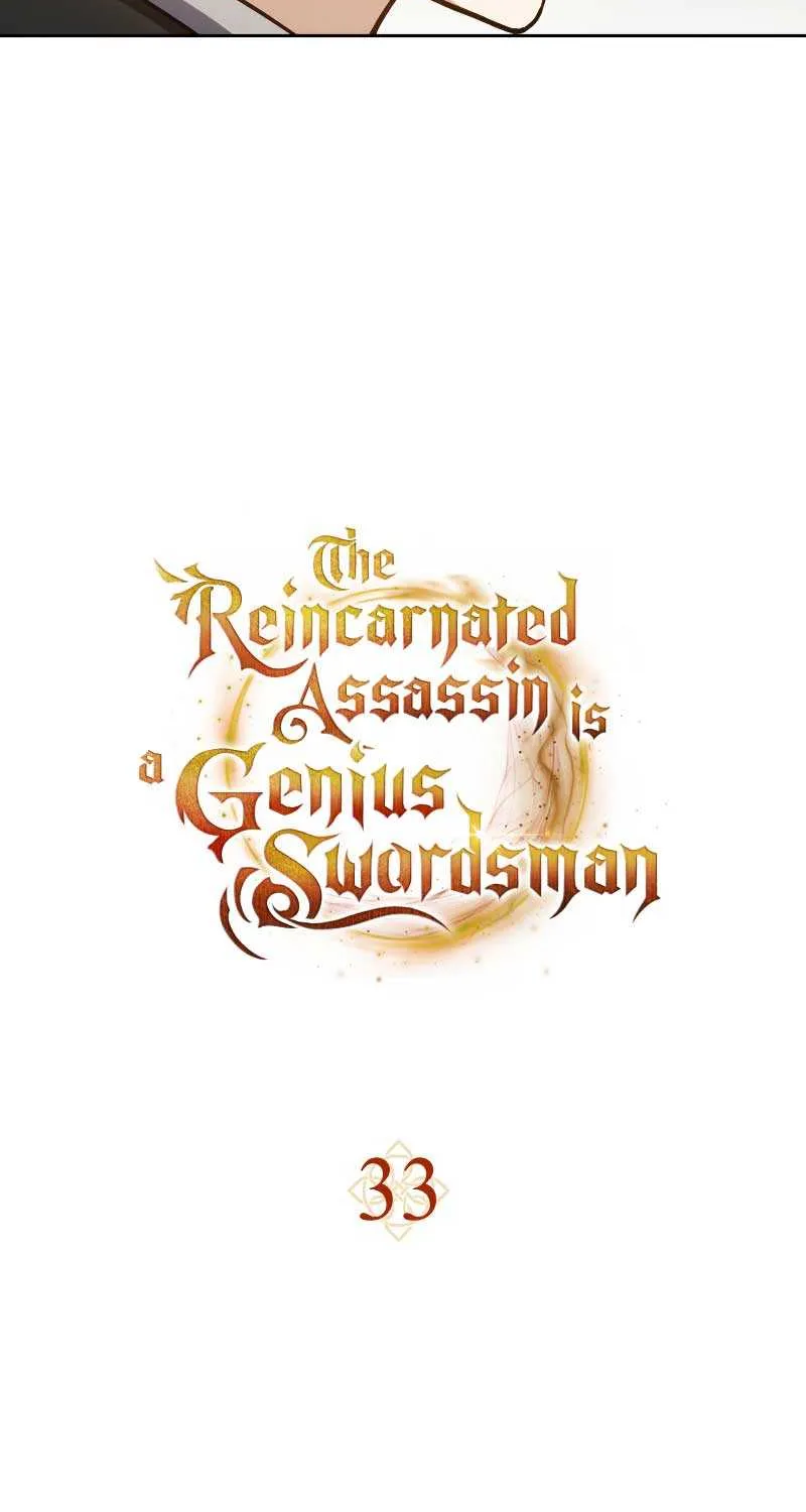 The Reincarnated Assassin is a Genius Swordsman Chapter 33 page 13 - 