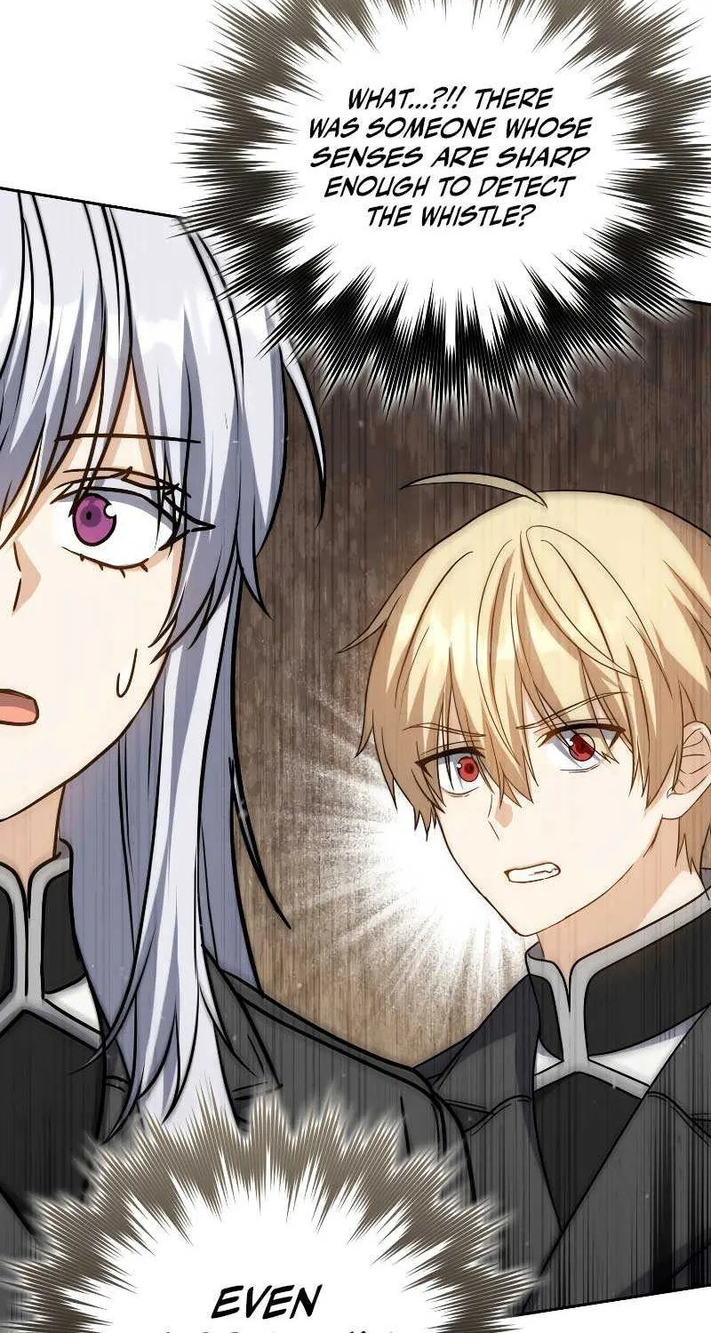 The Reincarnated Assassin is a Genius Swordsman Chapter 33 page 31 - 