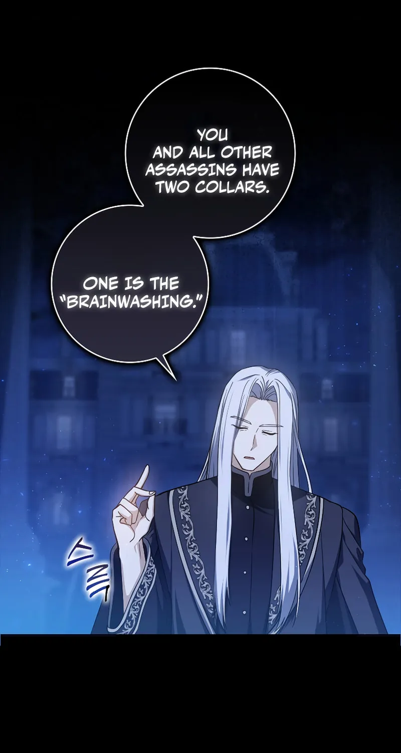 The Reincarnated Assassin Is a Swordmaster Chapter 1 page 30 - 