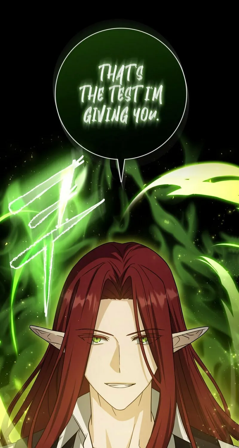 The Reincarnated Assassin Is a Swordmaster Chapter 11 page 115 - 