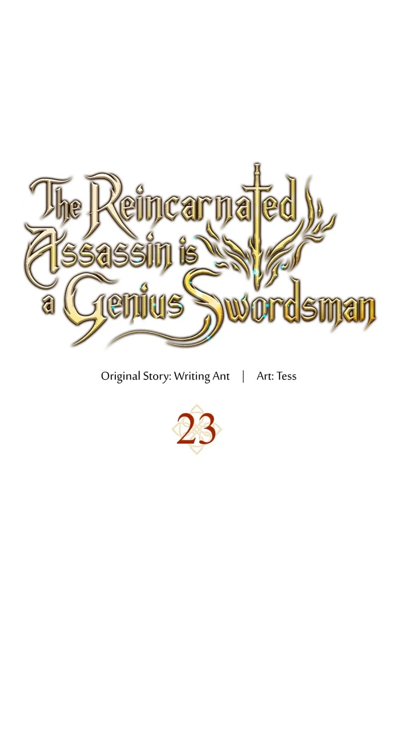 The Reincarnated Assassin Is a Swordmaster Chapter 23 page 17 - 