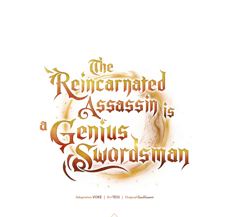 The Reincarnated Assassin Is a Swordmaster Chapter 25 page 12 - 