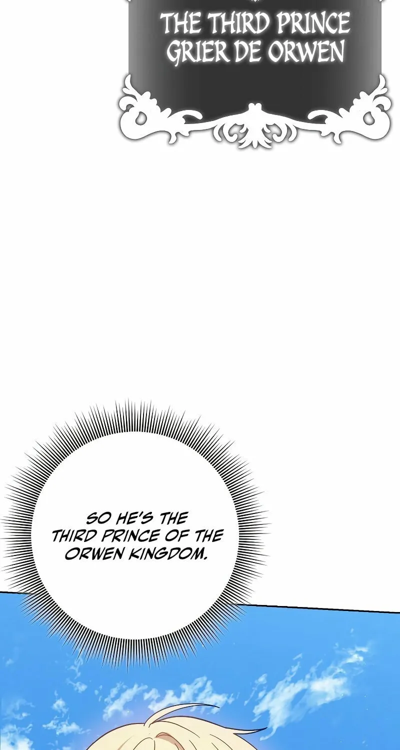 The Reincarnated Assassin Is a Swordmaster Chapter 26 page 71 - 