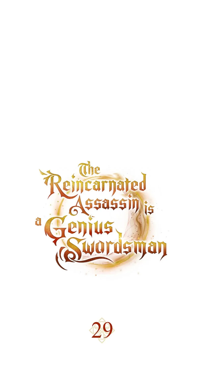 The Reincarnated Assassin Is a Swordmaster Chapter 29 page 2 - 