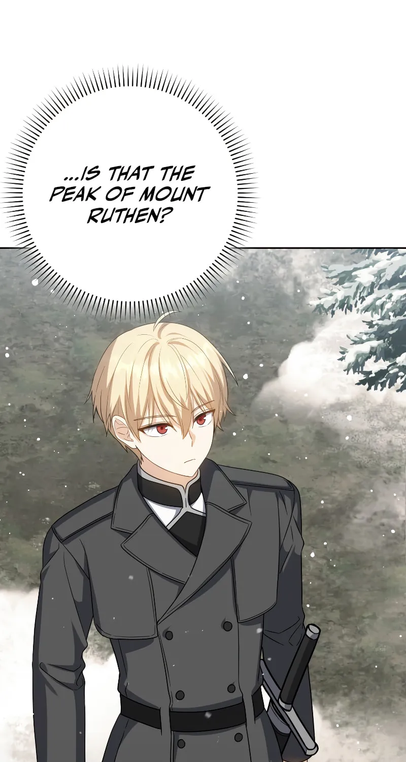 The Reincarnated Assassin Is a Swordmaster Chapter 32 page 28 - 