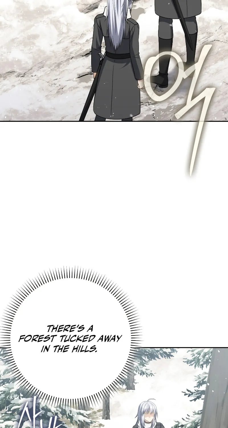 The Reincarnated Assassin Is a Swordmaster Chapter 32 page 46 - 