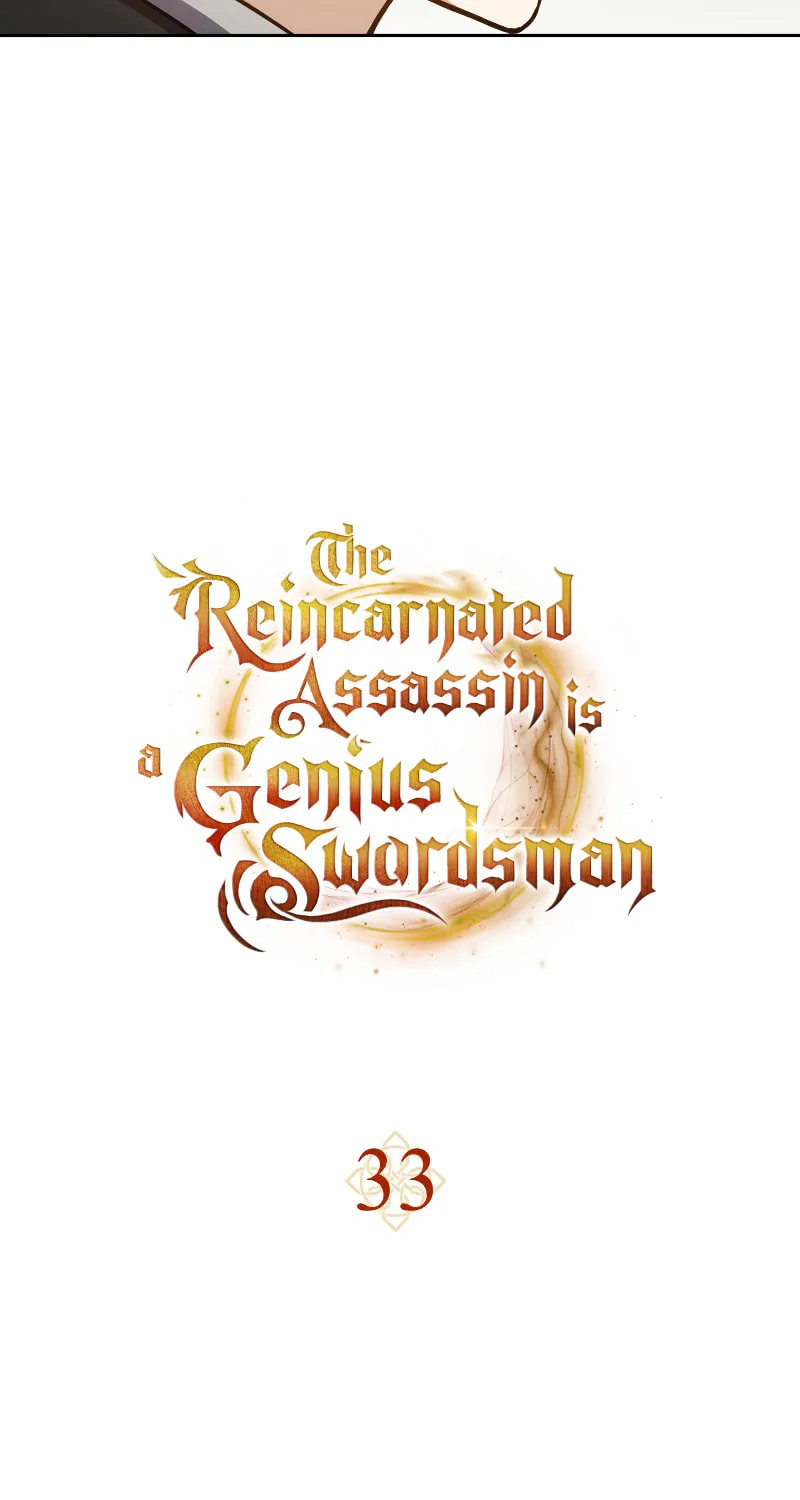 The Reincarnated Assassin Is a Swordmaster Chapter 33 page 14 - 