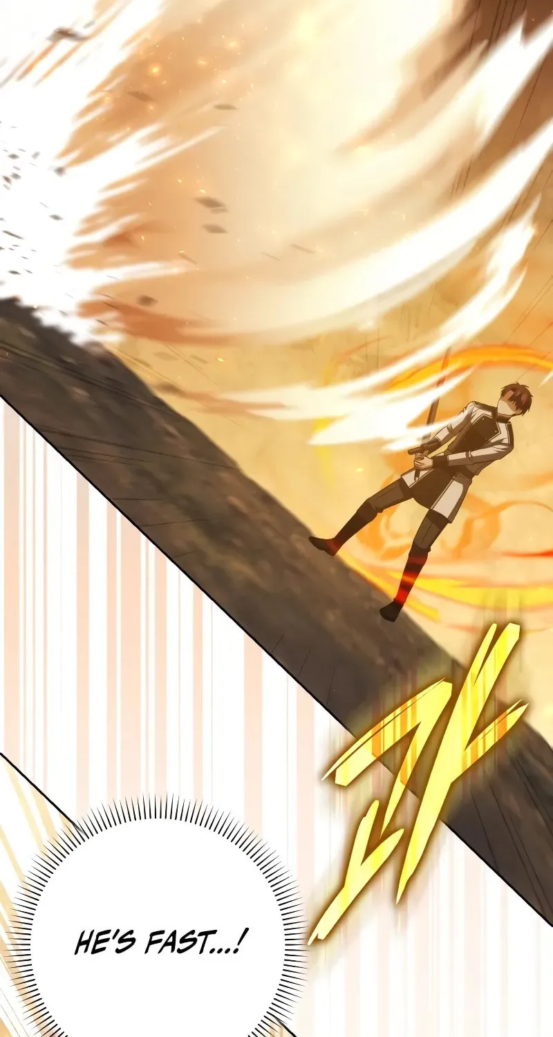 The Reincarnated Assassin Is a Swordmaster Chapter 39 page 95 - 