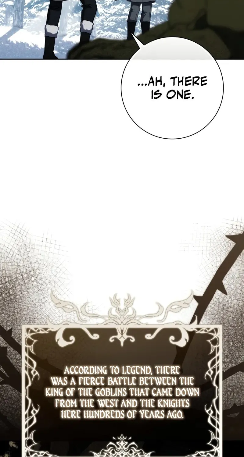 The Reincarnated Assassin Is a Swordmaster Chapter 41 page 68 - 