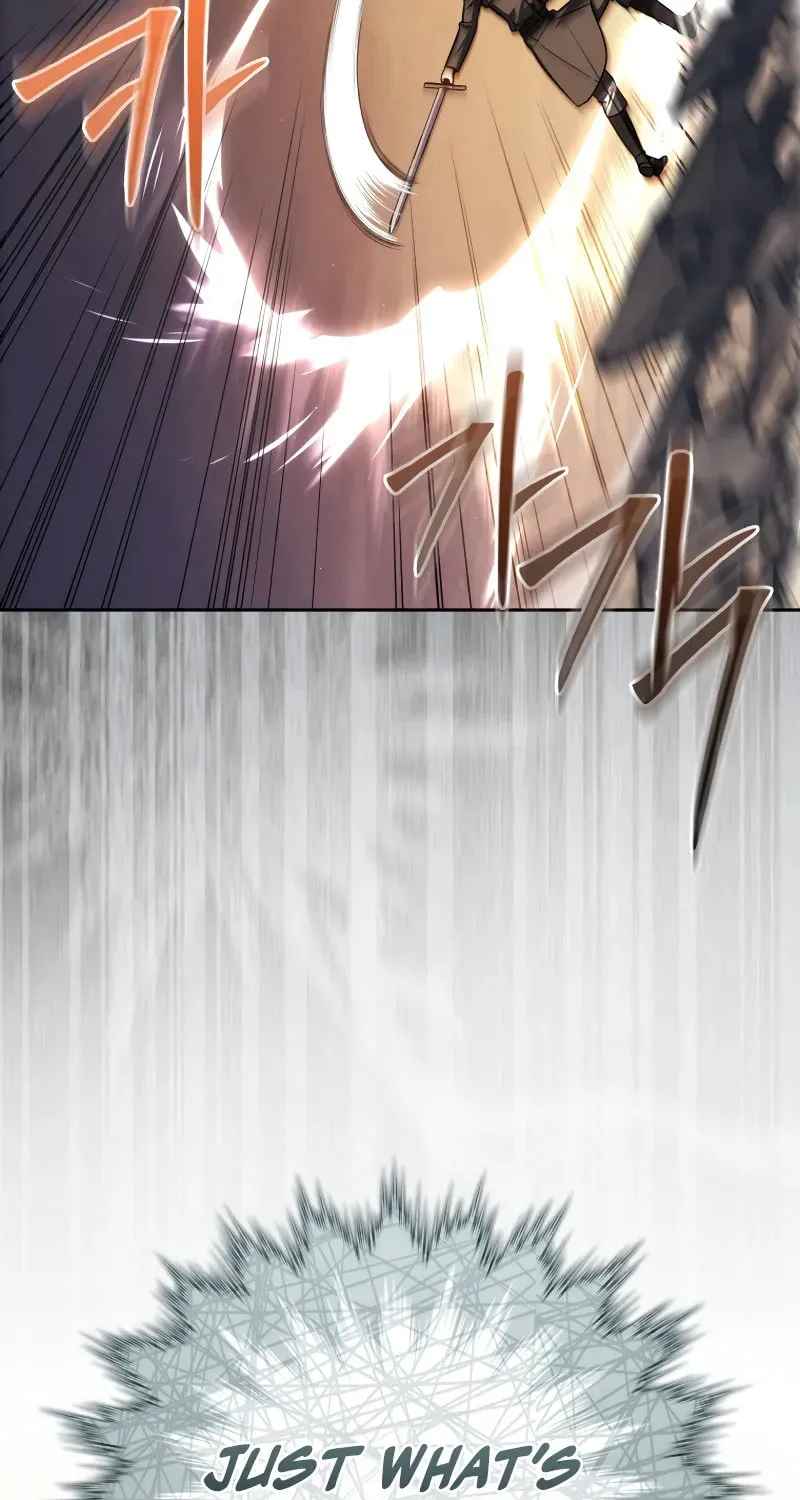 The Reincarnated Assassin Is a Swordmaster Chapter 44 page 25 - 