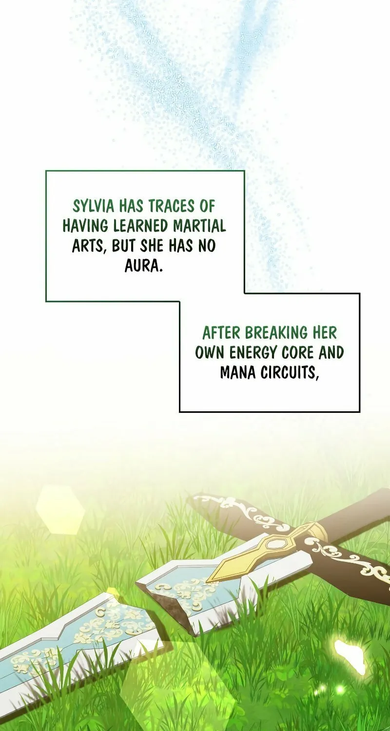 The Reincarnated Assassin Is a Swordmaster Chapter 5 page 30 - 