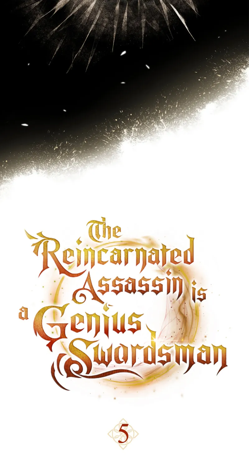 The Reincarnated Assassin Is a Swordmaster Chapter 5 page 9 - 