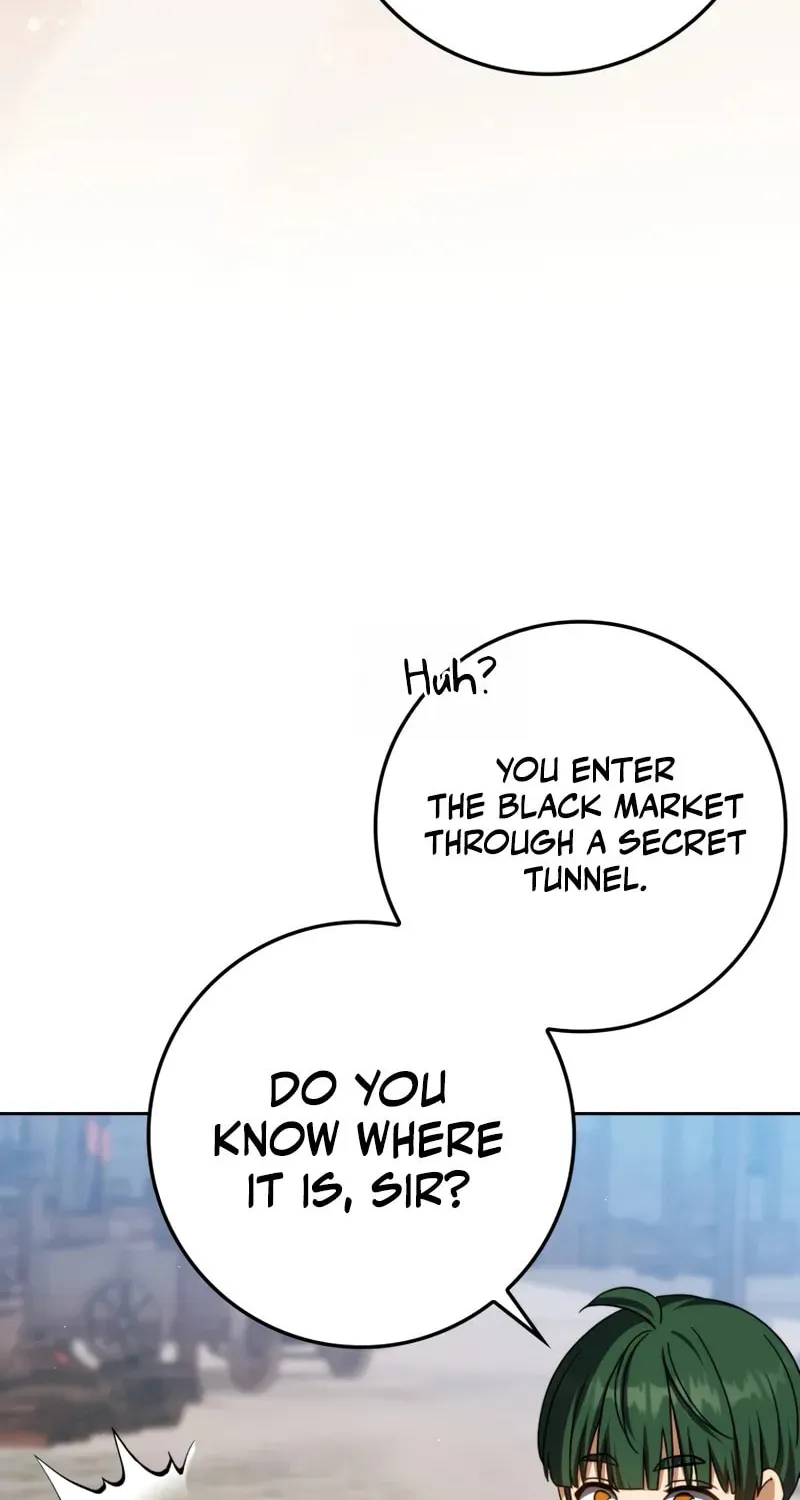 The Reincarnated Assassin Is a Swordmaster Chapter 58 page 15 - 