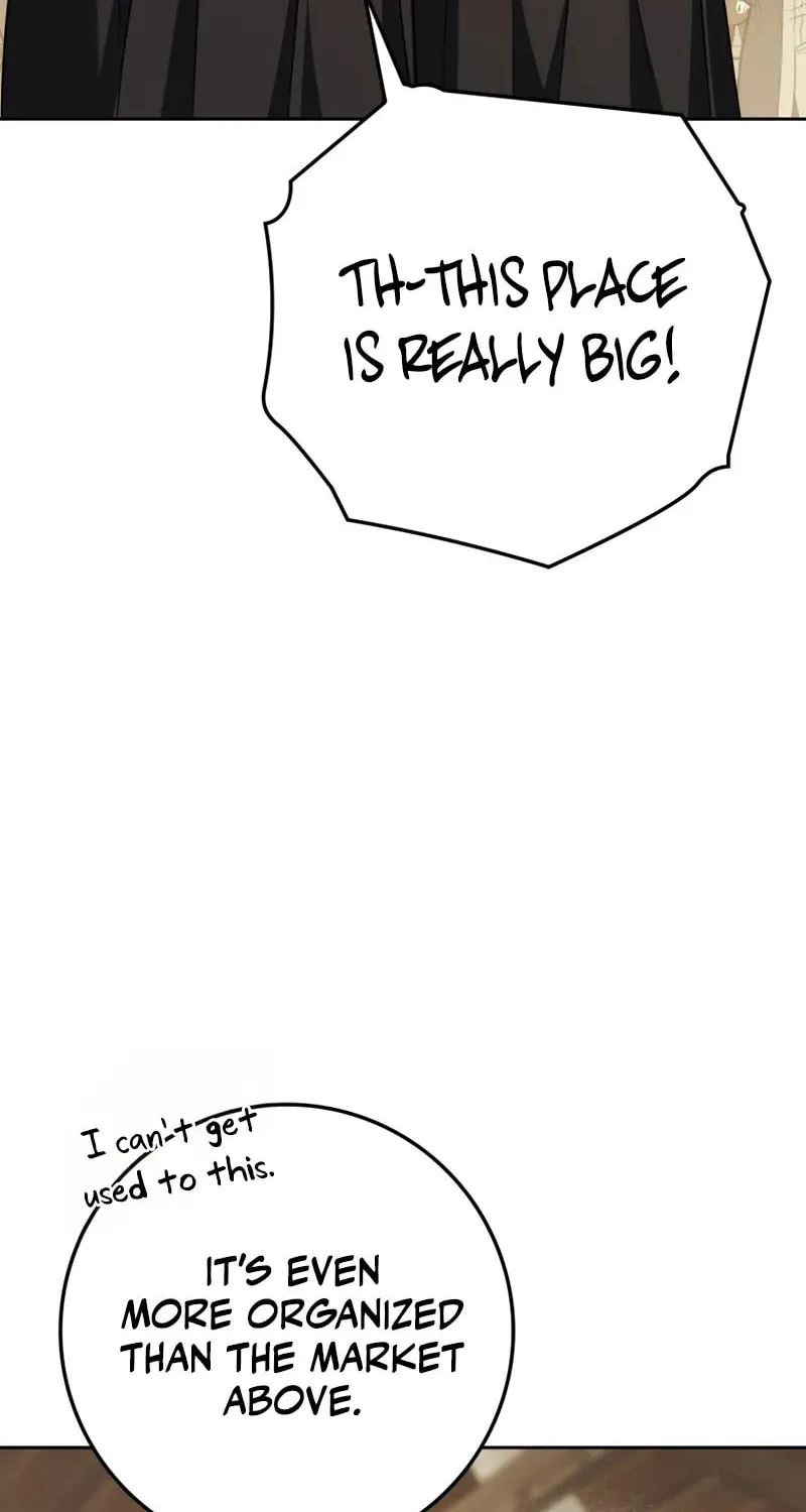 The Reincarnated Assassin Is a Swordmaster Chapter 58 page 24 - 