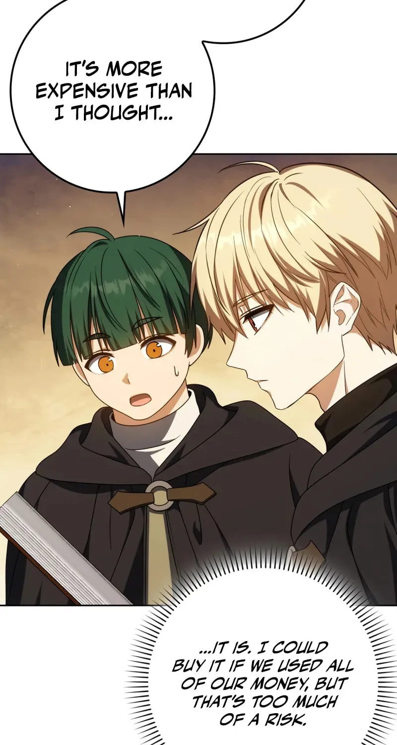 The Reincarnated Assassin Is a Swordmaster Chapter 58 page 31 - 