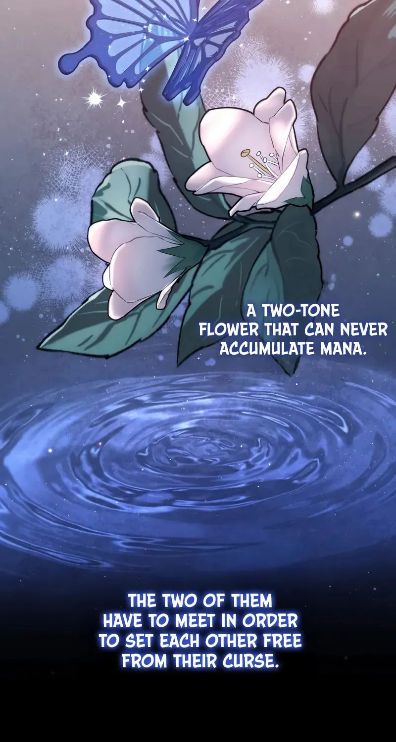 The Reincarnated Assassin Is a Swordmaster Chapter 60 page 3 - 