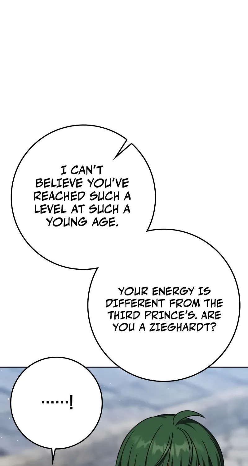 The Reincarnated Assassin Is a Swordmaster Chapter 60 page 48 - 