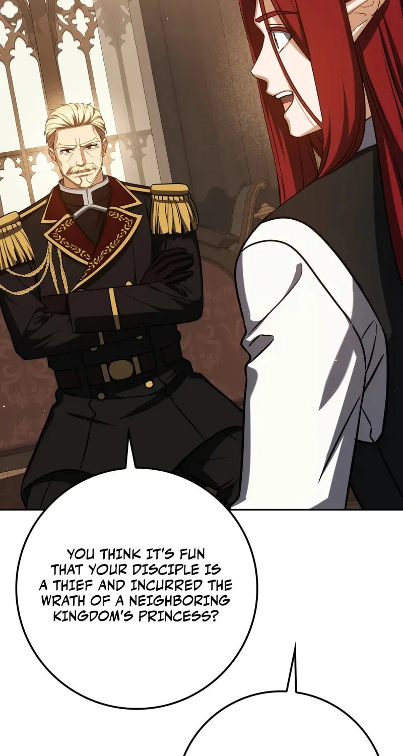 The Reincarnated Assassin Is a Swordmaster Chapter 62 page 9 - 