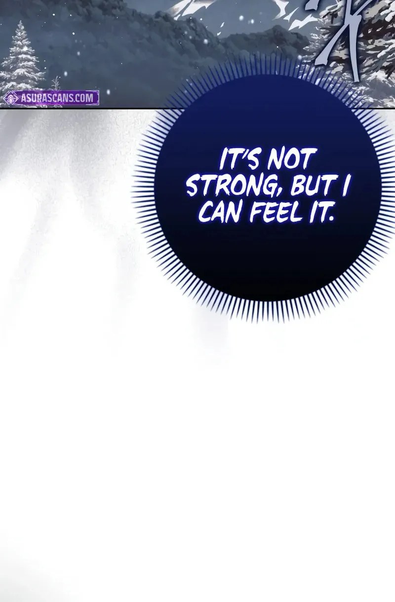 The Reincarnated Assassin Is a Swordmaster Chapter 64 page 99 - 