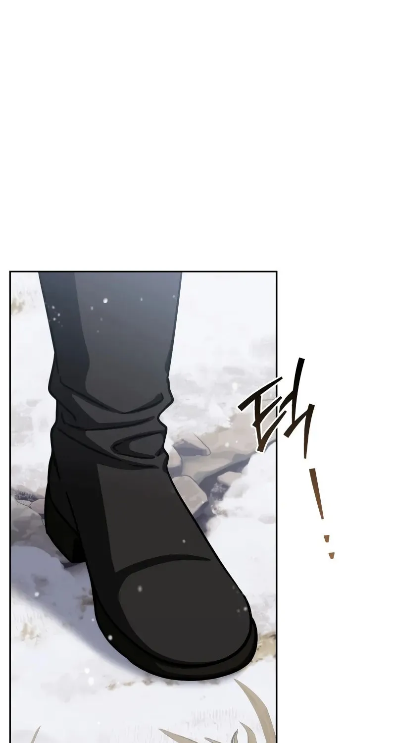 The Reincarnated Assassin Is a Swordmaster Chapter 65 page 25 - 