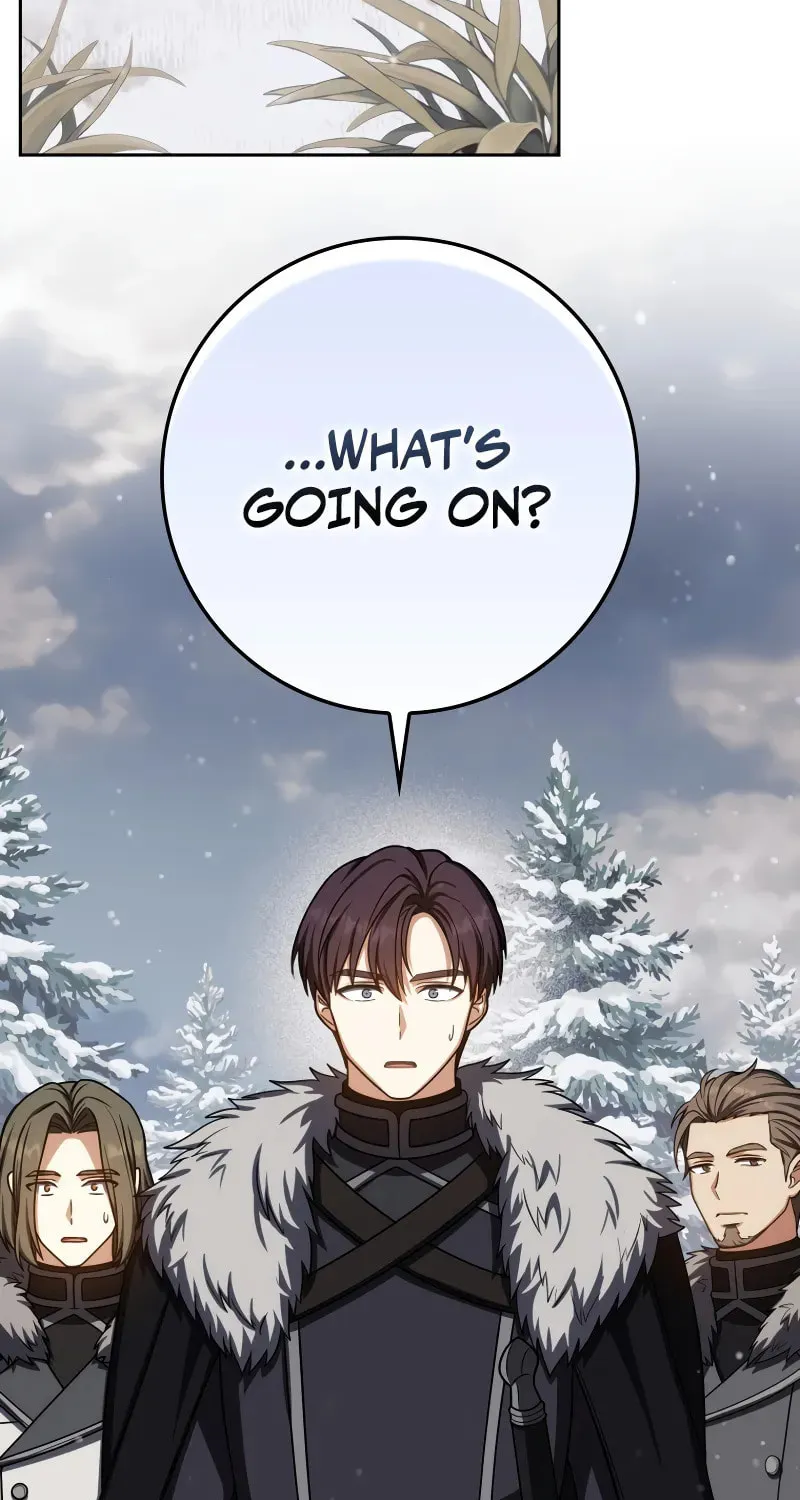 The Reincarnated Assassin Is a Swordmaster Chapter 65 page 26 - 