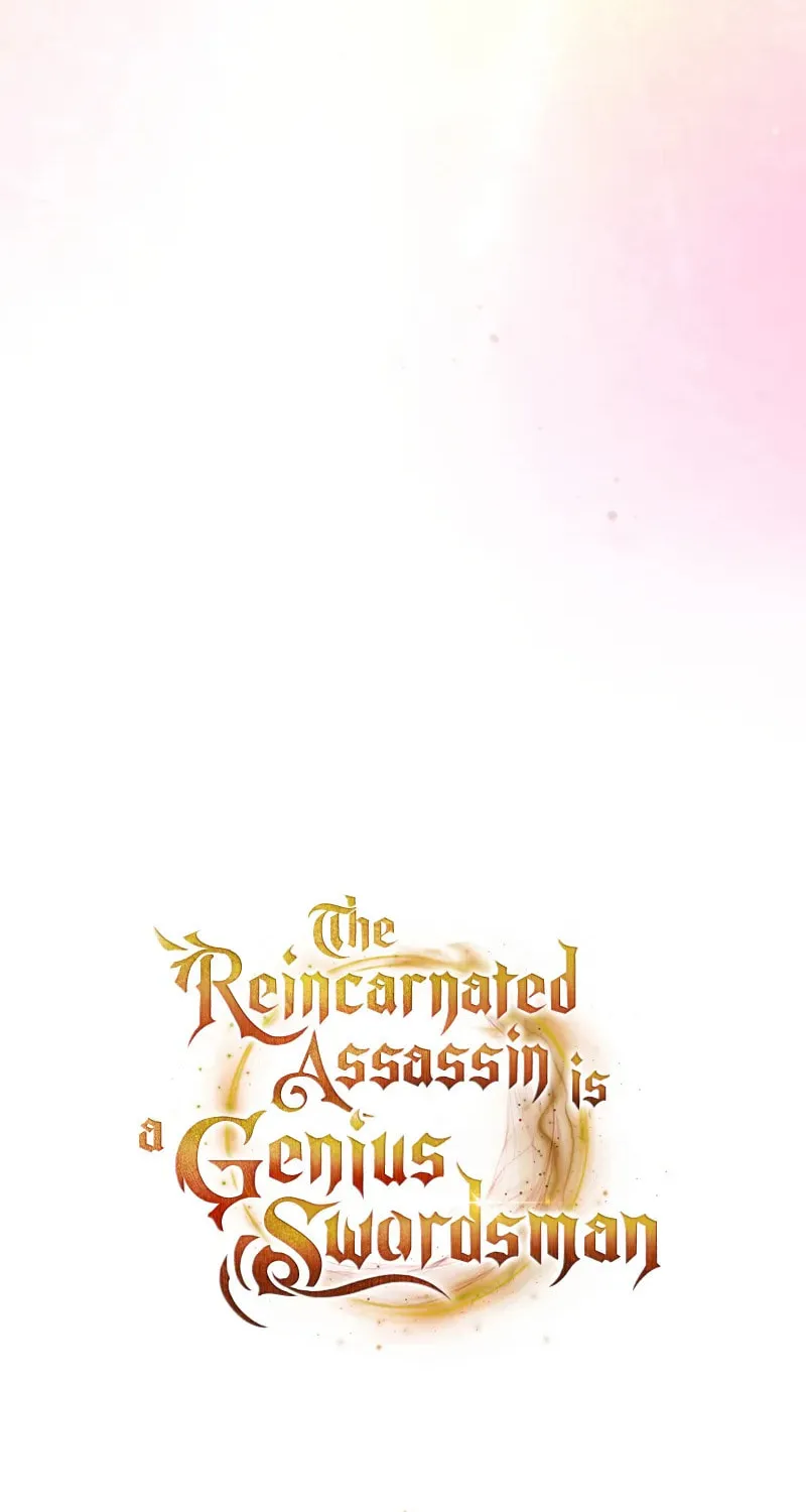 The Reincarnated Assassin Is a Swordmaster Chapter 69 page 17 - 